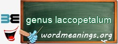 WordMeaning blackboard for genus laccopetalum